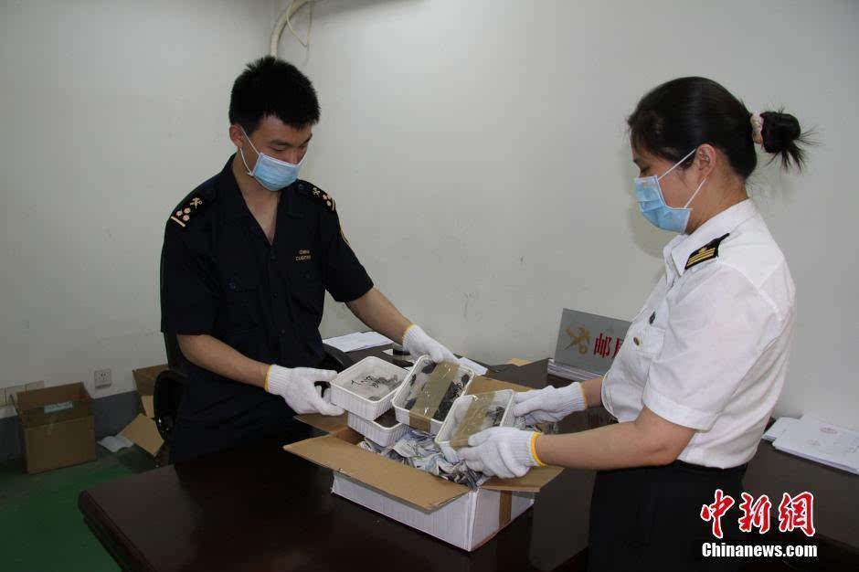 成都海关证注册(中国海关成都办事处)