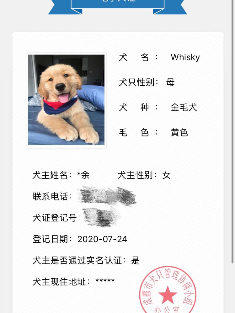 在成都注册的快狗可以在上海跑吗(在成都注册的快狗可以在上海跑吗要多少钱)