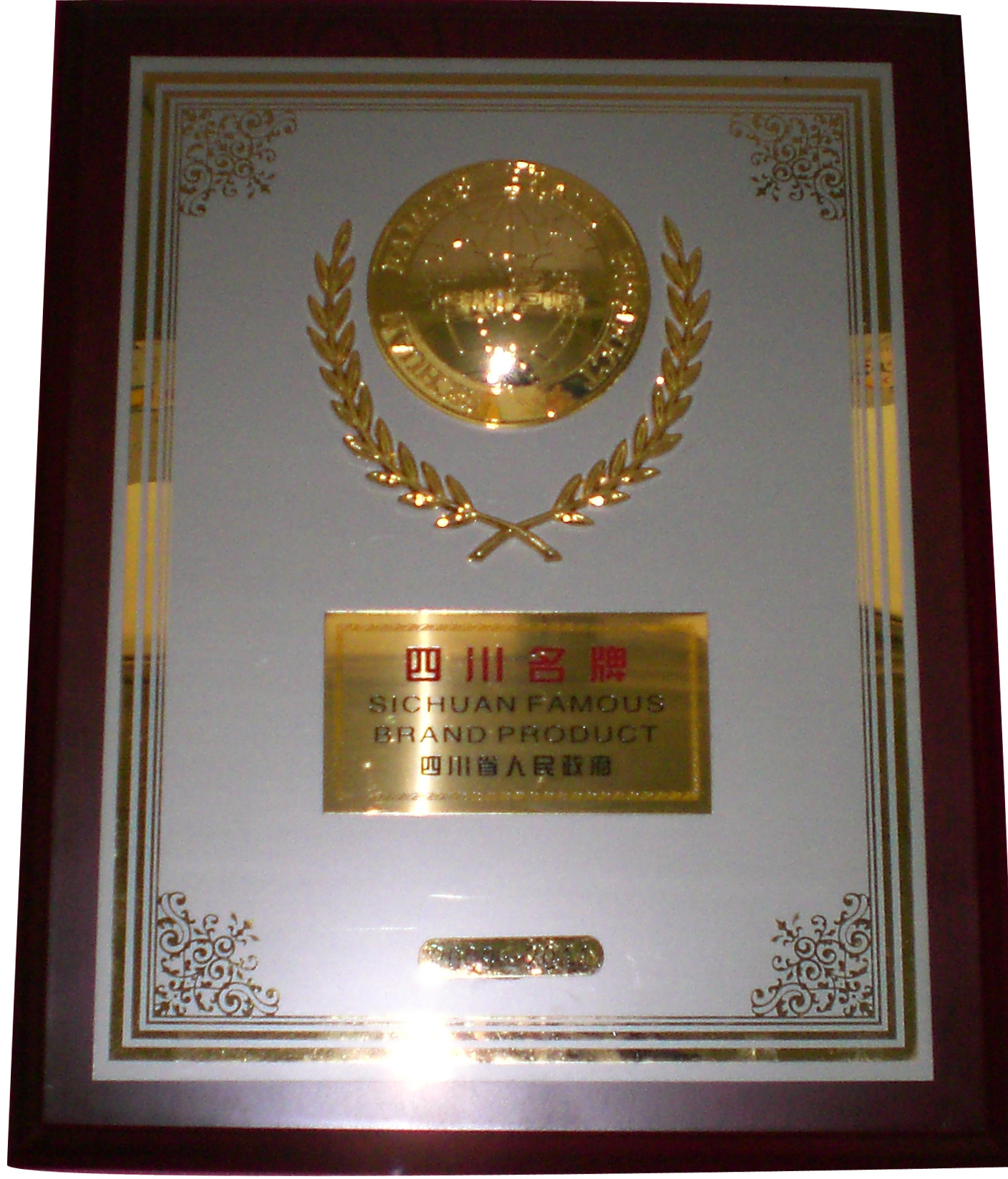 成都注册以实业命名的公司(成都注册以实业命名的公司名称)