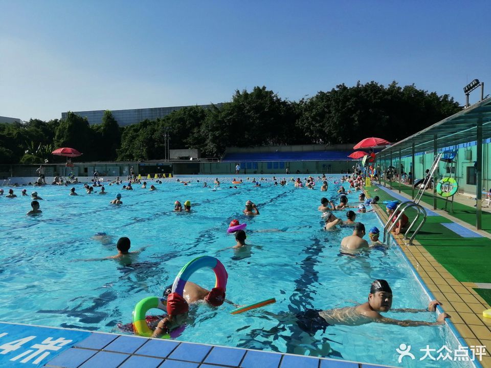 成都游泳运动员注册 成都游泳运动员注册公司 成都游泳运动员注册 成都游泳运动员注册公司