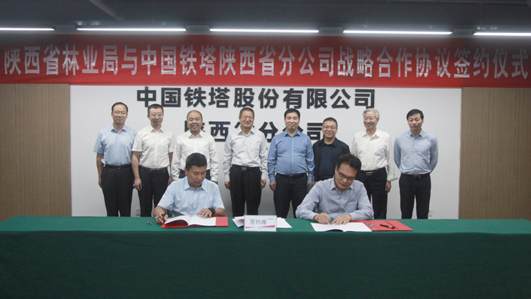 中国铁塔成都分公司注册信息 中国铁塔成都分公司注册信息公示 