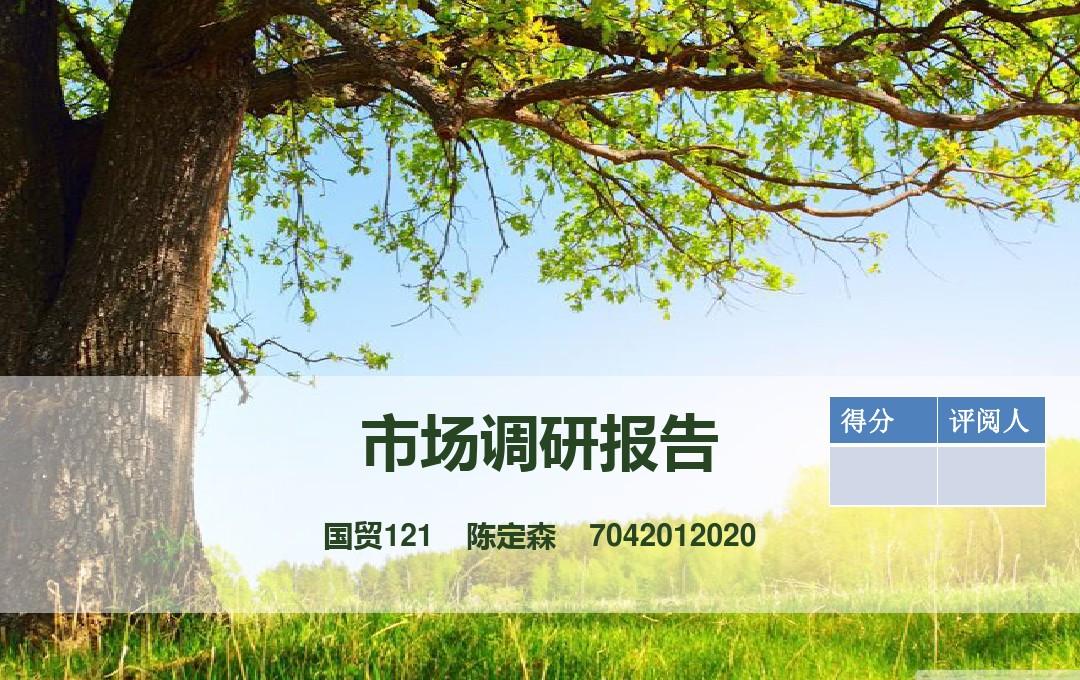 市场调研 市场调研方案 