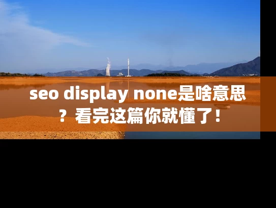 seo display none是啥意思？看完这篇你就懂了！