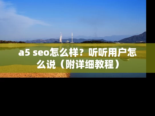 a5 seo怎么样？听听用户怎么说（附详细教程）