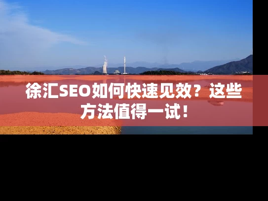 徐汇SEO如何快速见效？这些方法值得一试！