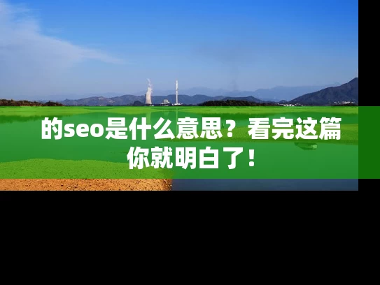 的seo是什么意思？看完这篇你就明白了！