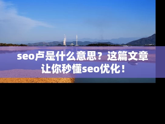 seo卢是什么意思？这篇文章让你秒懂seo优化！