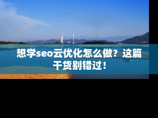 想学seo云优化怎么做？这篇干货别错过！