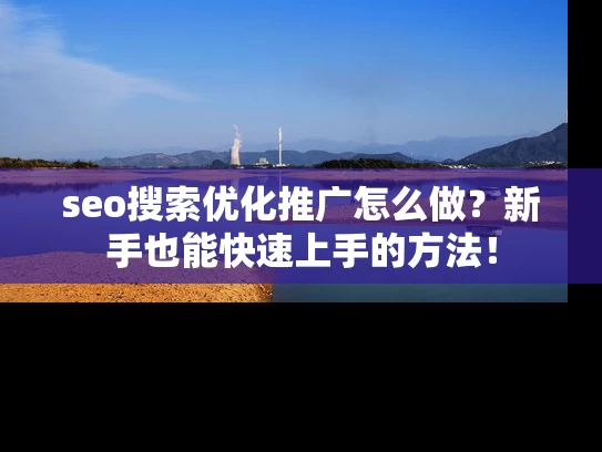seo搜索优化推广怎么做？新手也能快速上手的方法！