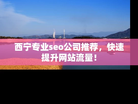 西宁专业seo公司推荐，快速提升网站流量！