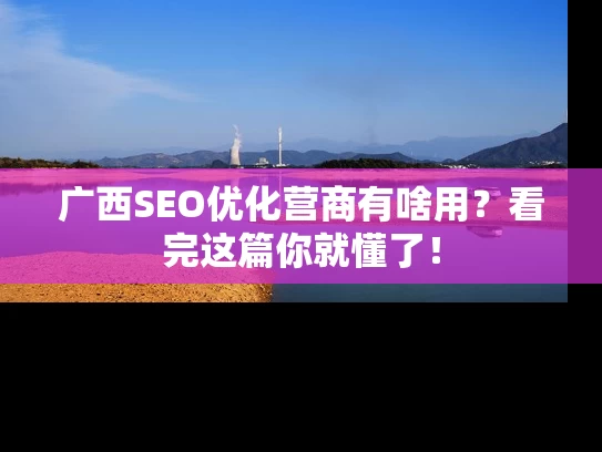 广西SEO优化营商有啥用？看完这篇你就懂了！