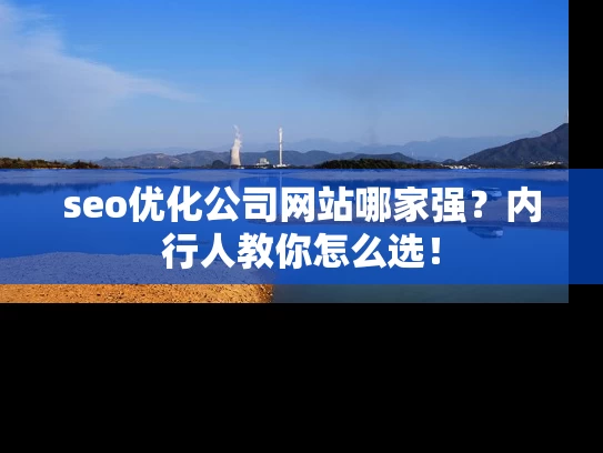 seo优化公司网站哪家强？内行人教你怎么选！