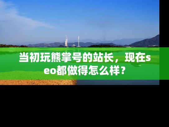 当初玩熊掌号的站长，现在seo都做得怎么样？