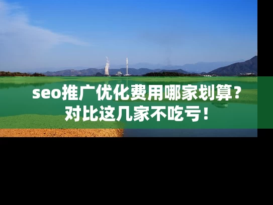 seo推广优化费用哪家划算？对比这几家不吃亏！