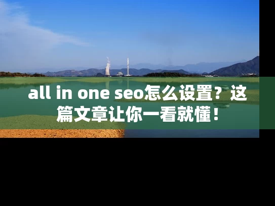 all in one seo怎么设置？这篇文章让你一看就懂！