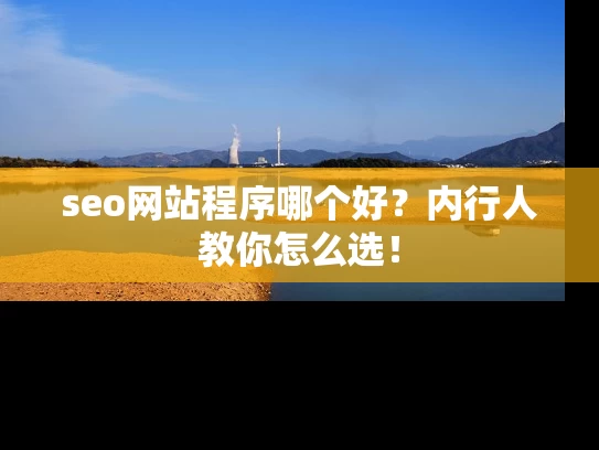 seo网站程序哪个好？内行人教你怎么选！