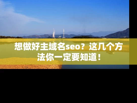 想做好主域名seo？这几个方法你一定要知道！