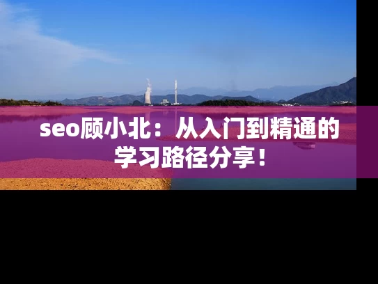seo顾小北：从入门到精通的学习路径分享！