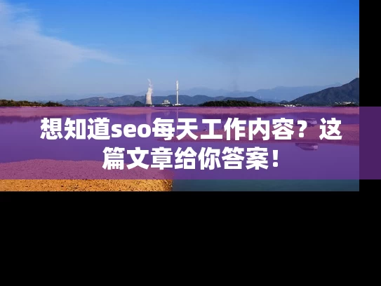 想知道seo每天工作内容？这篇文章给你答案！