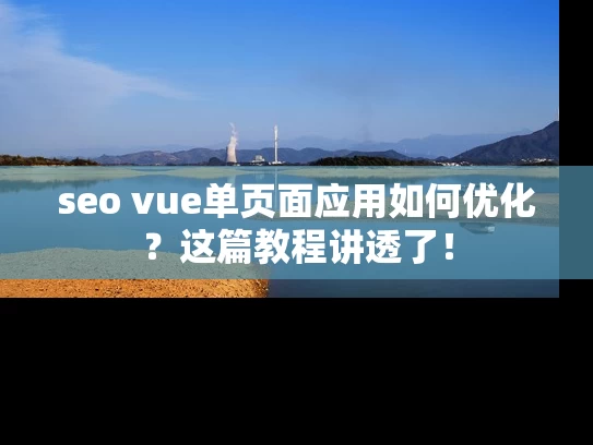 seo vue单页面应用如何优化？这篇教程讲透了！