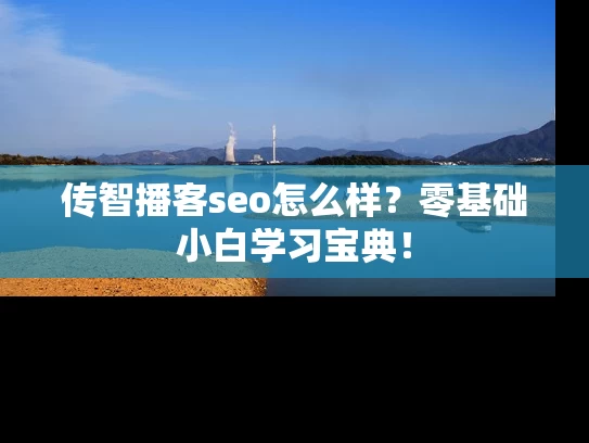 传智播客seo怎么样？零基础小白学习宝典！