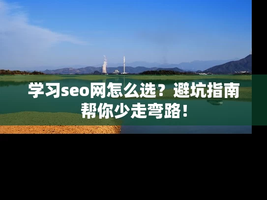 学习seo网怎么选？避坑指南帮你少走弯路！