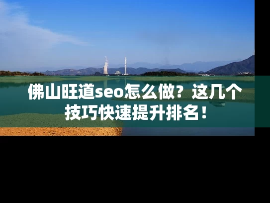 佛山旺道seo怎么做？这几个技巧快速提升排名！