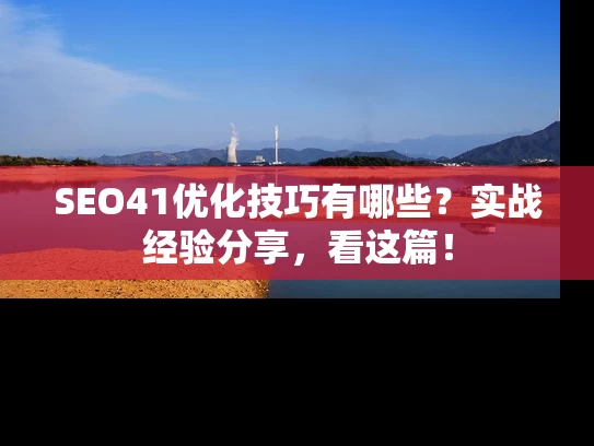 SEO41优化技巧有哪些？实战经验分享，看这篇！
