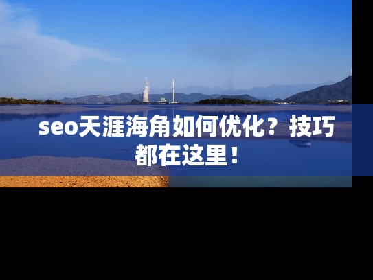 seo天涯海角如何优化？技巧都在这里！