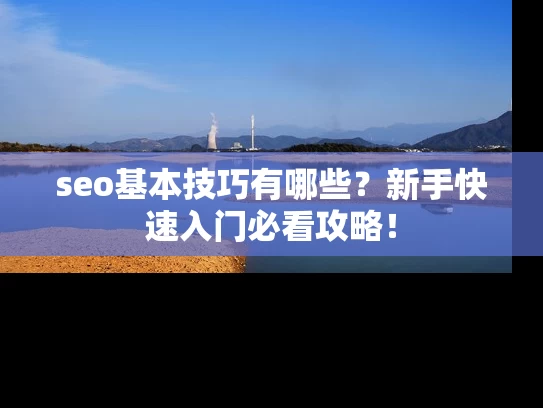 seo基本技巧有哪些？新手快速入门必看攻略！