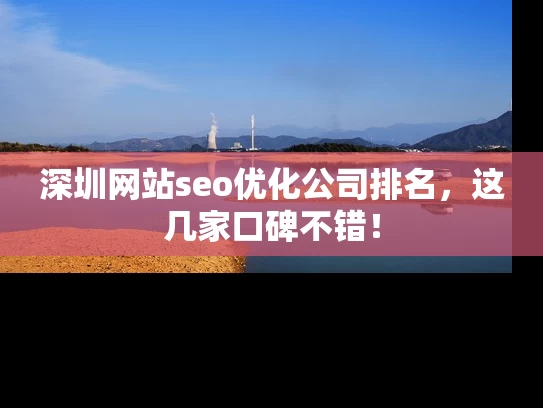 深圳网站seo优化公司排名，这几家口碑不错！