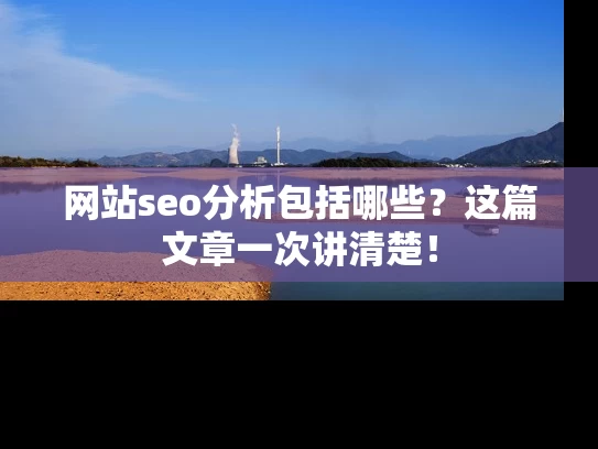 网站seo分析包括哪些？这篇文章一次讲清楚！