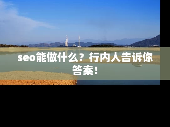 seo能做什么？行内人告诉你答案！