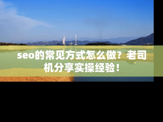 seo的常见方式怎么做？老司机分享实操经验！