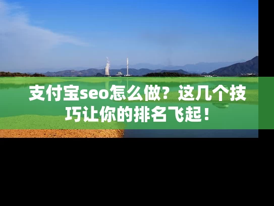 支付宝seo怎么做？这几个技巧让你的排名飞起！