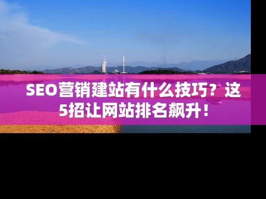 SEO营销建站有什么技巧？这5招让网站排名飙升！