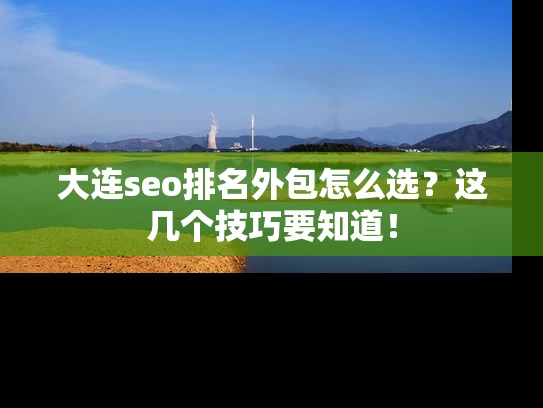 大连seo排名外包怎么选？这几个技巧要知道！