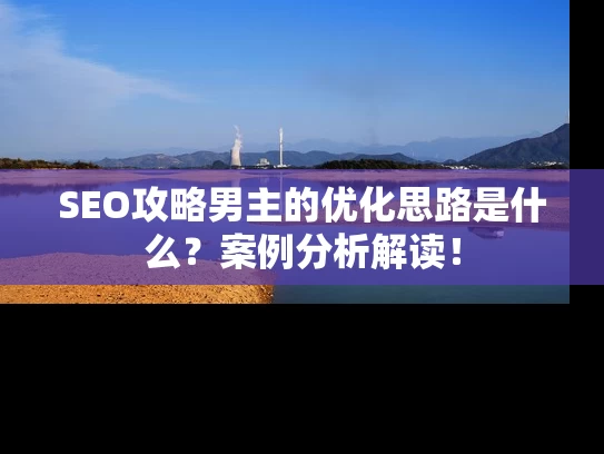 SEO攻略男主的优化思路是什么？案例分析解读！