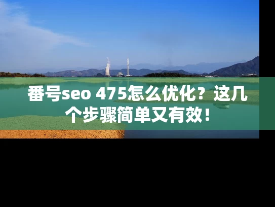 番号seo 475怎么优化？这几个步骤简单又有效！