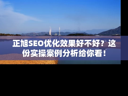 正旭SEO优化效果好不好？这份实操案例分析给你看！