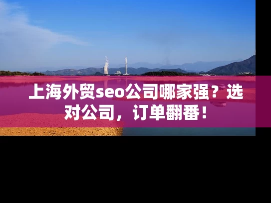 上海外贸seo公司哪家强？选对公司，订单翻番！
