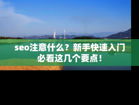 seo注意什么？新手快速入门必看这几个要点！
