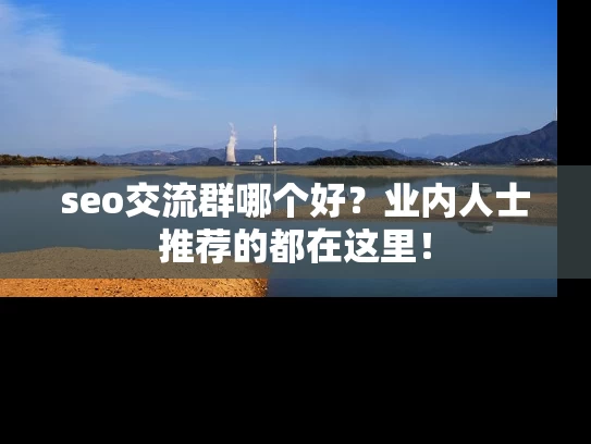 seo交流群哪个好？业内人士推荐的都在这里！