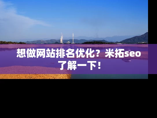 想做网站排名优化？米拓seo了解一下！