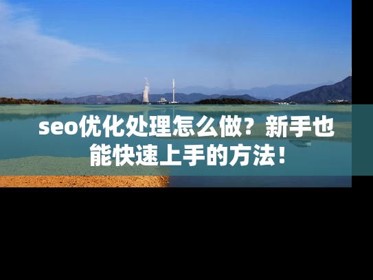 seo优化处理怎么做？新手也能快速上手的方法！