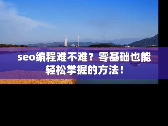 seo编程难不难？零基础也能轻松掌握的方法！