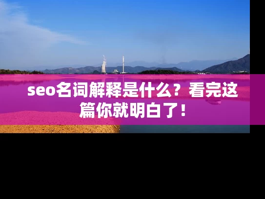 seo名词解释是什么？看完这篇你就明白了！