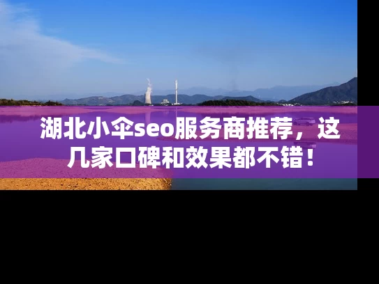 湖北小伞seo服务商推荐，这几家口碑和效果都不错！