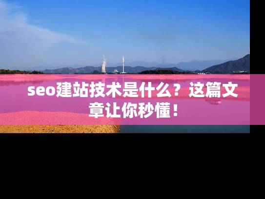 seo建站技术是什么？这篇文章让你秒懂！
