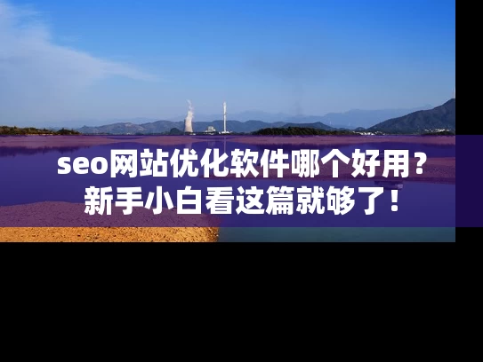 seo网站优化软件哪个好用？新手小白看这篇就够了！